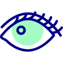 ojo icon