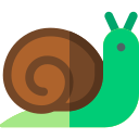 caracol 