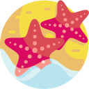 estrella de mar icon