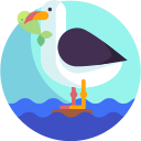 gaviota icon