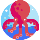 pulpo icon