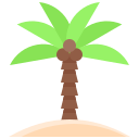 palmera icon