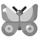 mariposa