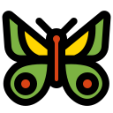 mariposa icon