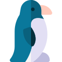 pingüino 