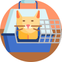 gato icon