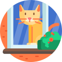 gato icon