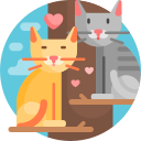 gato icon