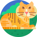 tigre icon