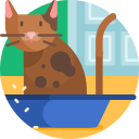 gato icon