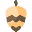 cono de pino icon