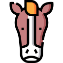 caballo icon