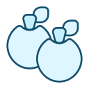 manzanas icon