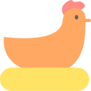 pollo icon