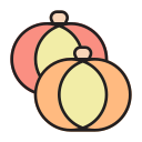 calabaza icon