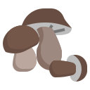 champignon