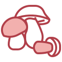 Гриб icon
