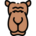 camello icon