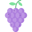 uvas icon