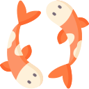 koi 