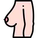 Breast 