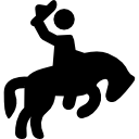 rodeo icon