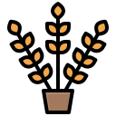 trigo icon