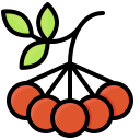 fruta icon