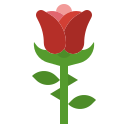 rosa icon