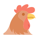 gallo icon