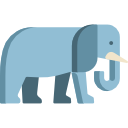 elefante