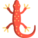 salamandra