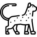 leopardo 