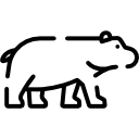hipopótamo 