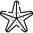 estrella de mar 