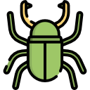 käfer 