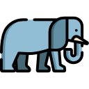 elefante 