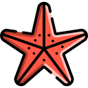 estrella de mar