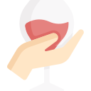 vino icon