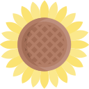 girasol icon