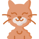 gato