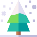 Pine tree 