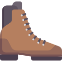 bota icon