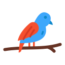 pájaro icon