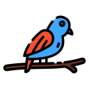 pájaro icon