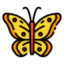 mariposa icon