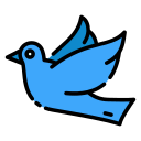 pájaro icon