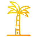 palmera 