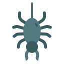 araña icon