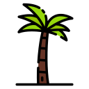 palmera 